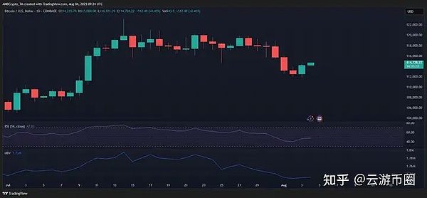 市场寒冬中的暖阳：11月金融市场全景透视