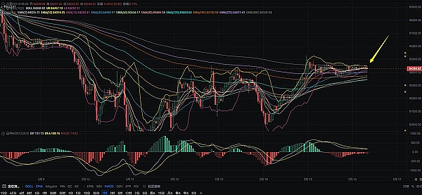 香港数码港130万补贴攻略：一个80后创业者的真实经历