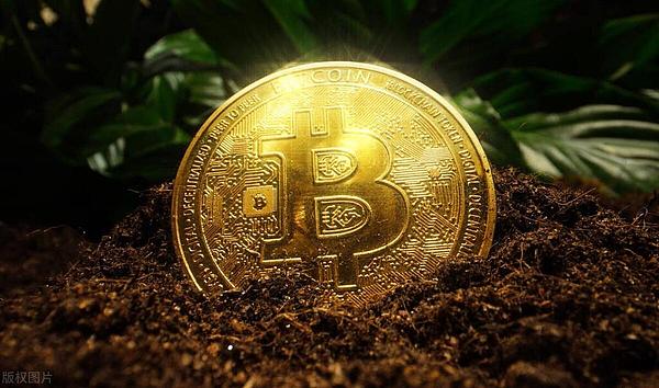 当比特币遇上刻字艺术：BRC20狂热背后的冷思考