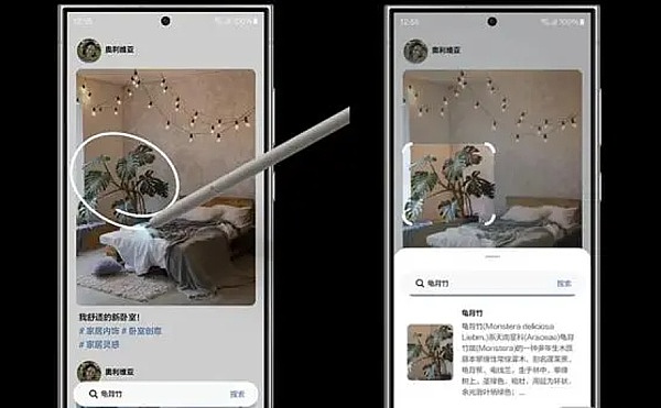 特所思(XTZ)今日狂飙：是抄底良机还是暴风雨前的宁静？