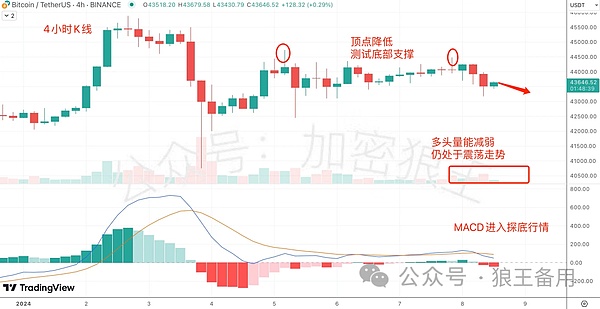 HYPE三年暴涨126倍？这个疯狂预测靠谱吗？